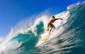 体育直播-法甲外援总体表现统计与对比:赛季表现波动与贡献分析报告