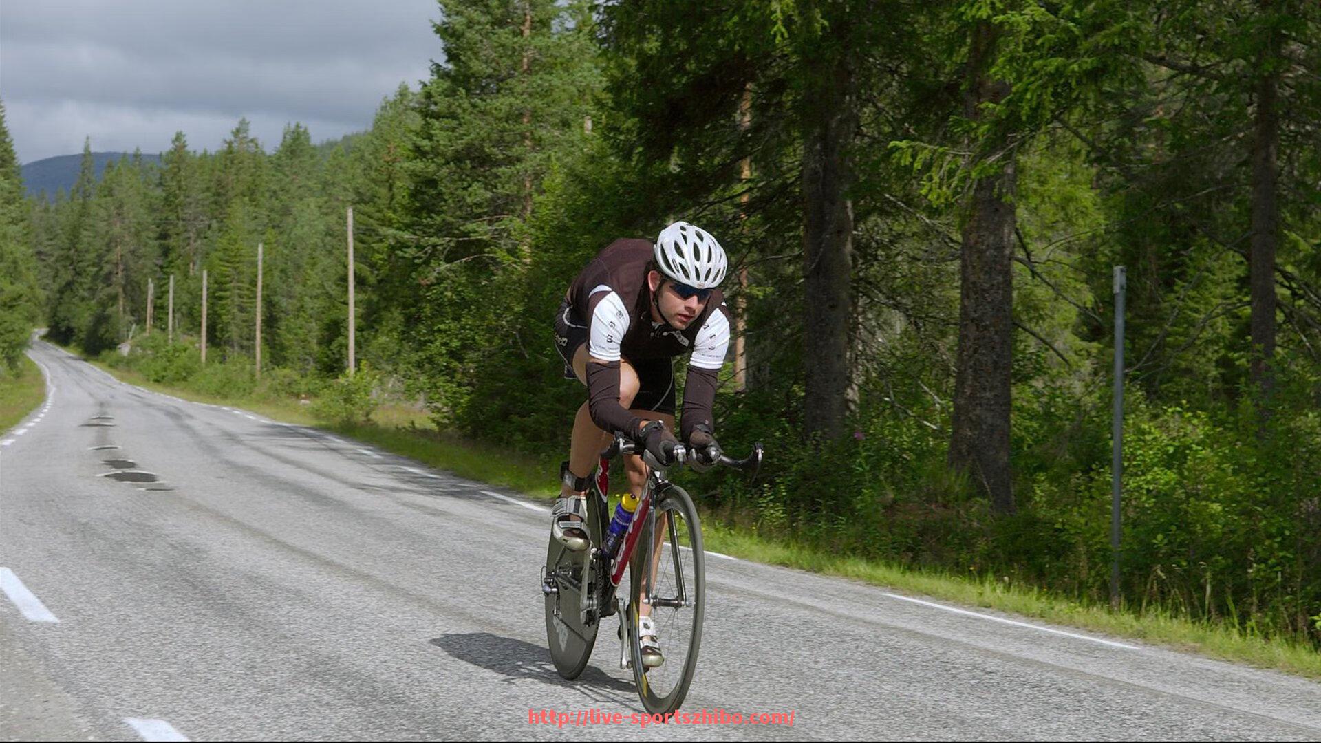 体育直播-新浪欧冠背景音乐精选及其激发赛事氛围的作用