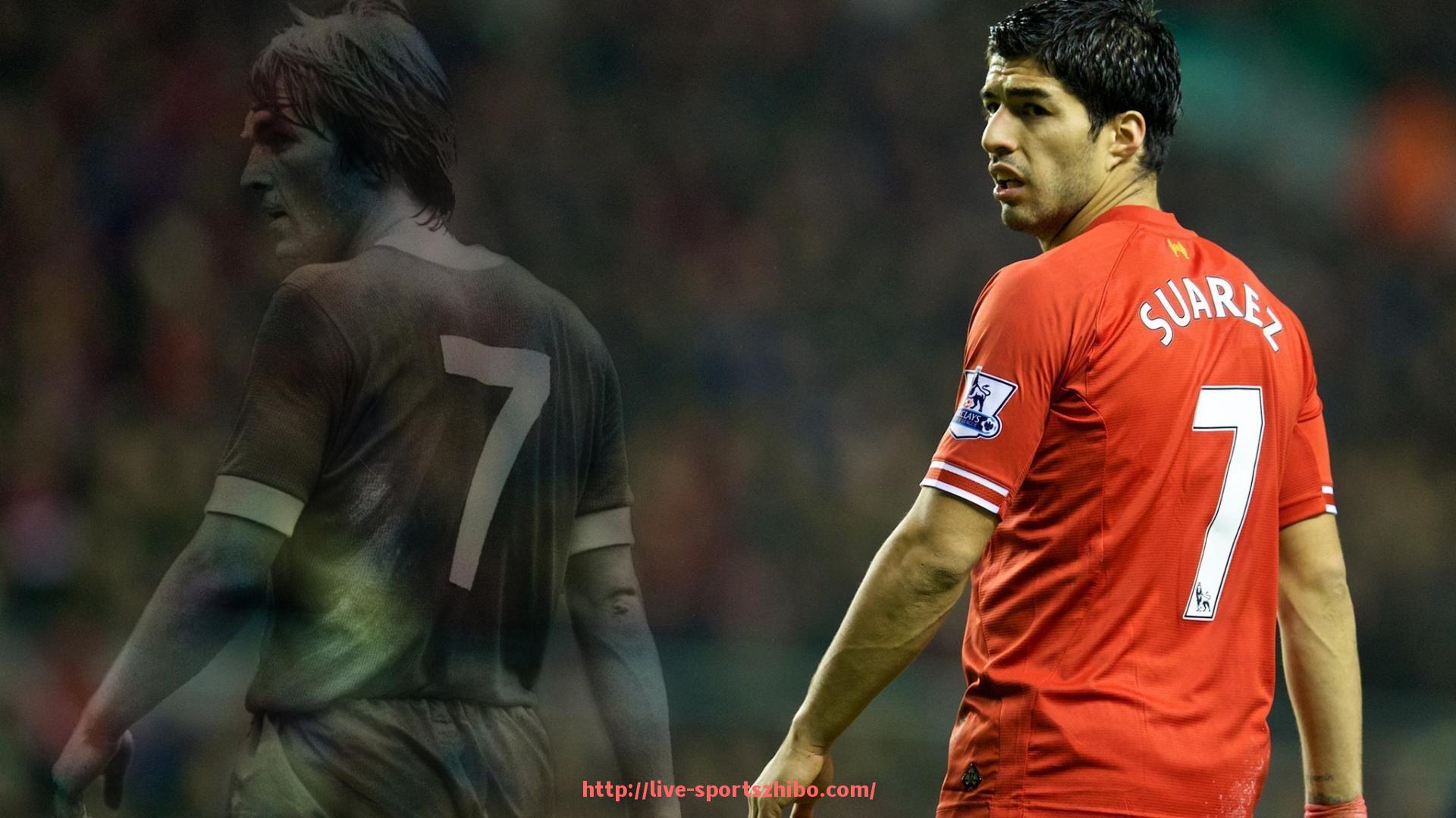 体育直播-法甲外援总体表现统计与对比：赛季表现波动与贡献分析报告